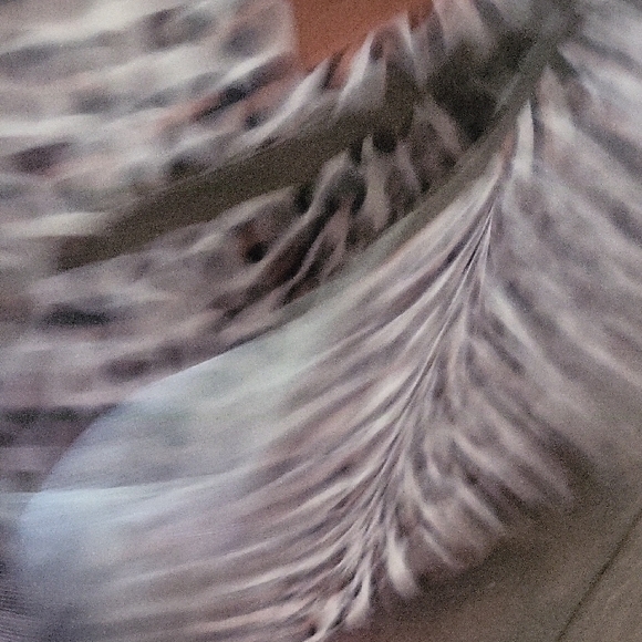 COOBIIYA Leopard Print Lunch Bag - Picture 4 of 5